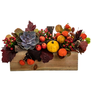 Automn arrangement with pumpkins